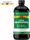 bernard-jensens-100-pure-natural-chlorop-2.jpg