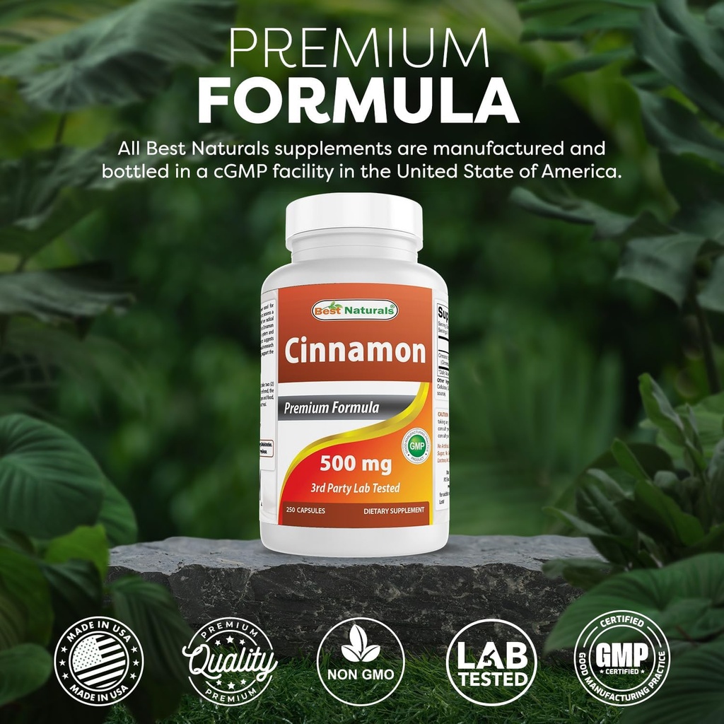 best-naturals-cinnamon-500-mg-250-capsul-5.jpg