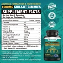 1-packs-1000-mg-shilajit-supplement-gumm-2.jpg