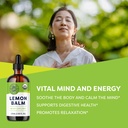 vimergy-organic-lemon-balm-tincture-herb-2.jpg