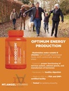 mt-angel-vitamins---b-good-com-vitamin-b-3.jpg