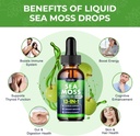 irish-sea-moss-liquid-drops-13-in-1-with-3.jpg