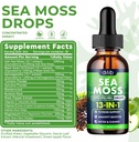 irish-sea-moss-liquid-drops-13-in-1-with-6.jpg