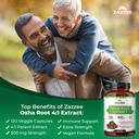 zazzee-osha-root-41-extract-500-mg-stren-3.jpg
