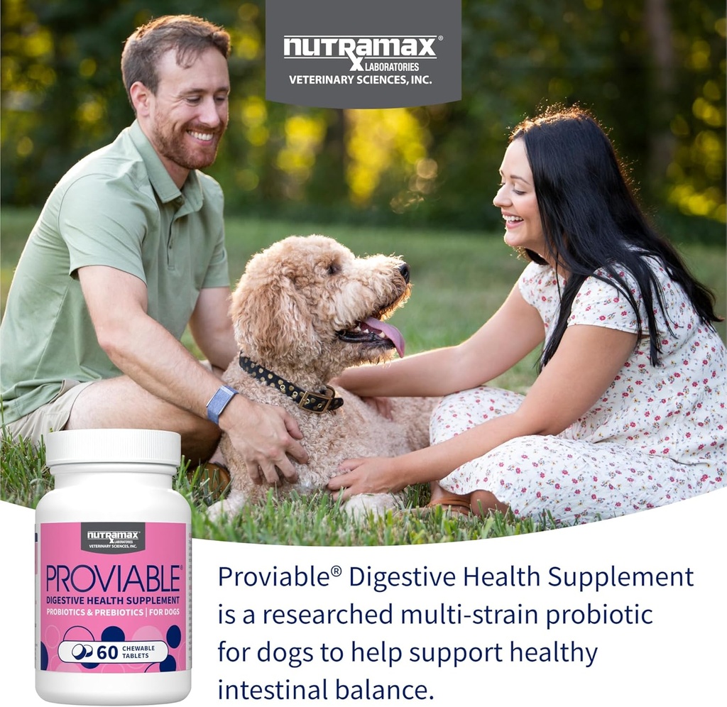 nutramax-proviable-probiotics-for-dogs-d-3.jpg