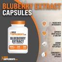 bulksupplementscom-blueberry-extract-cap-3.jpg
