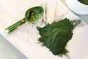 food-to-live-organic-chlorella-powder-1--5.jpg