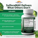 sulforamax-30-capsules---sulforaphane-br-4.jpg