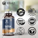 smart-nutra-labs-organic-sea-moss-3200mg-5.jpg