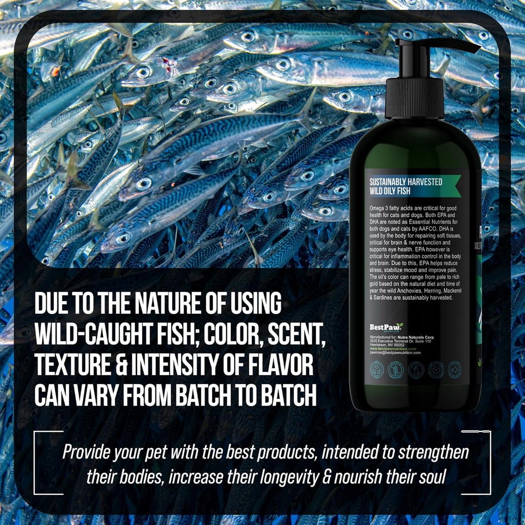 best-paw-nutrition---pure-omega-fish-oil-6.jpg