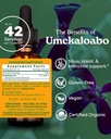 herb-pharm-certified-organic-umckaloabo--2.jpg