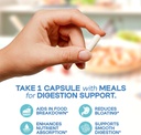 digestive-enzymes-for-gut-health-bloatin-3.jpg