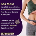 seamossyTM-sea-moss-supplement-100-pure--4.jpg