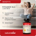 naturewise-vitamin-d3-2000iu-360-count-a-3.jpg