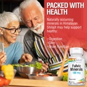 solaray-fulvic-minerals-100-mg-himalayan-5.jpg