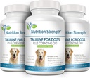 taurine-for-dogs-support-for-a-healthy-h-5.jpg