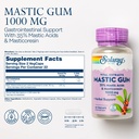 solaray-mastic-gum-extract-500-mg-45-cou-2.jpg