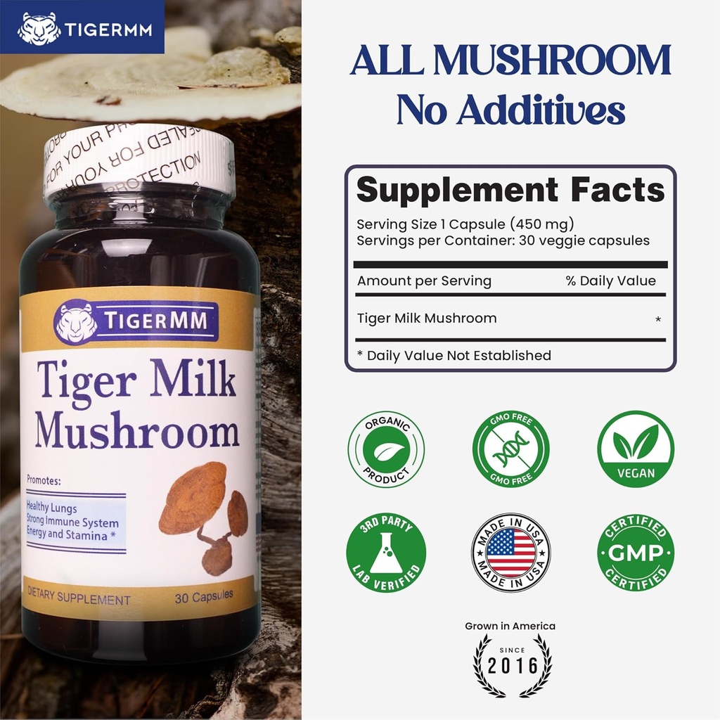 tiger-milk-mushroom-lignosus-rhino-usa-g-3.jpg