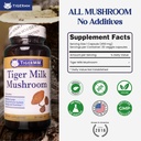 tiger-milk-mushroom-lignosus-rhino-usa-g-3.jpg