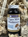 tiger-milk-mushroom-lignosus-rhino-usa-g-5.jpg