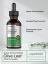 horbaach-olive-leaf-extract-liquid-2-fl--3.jpg