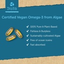 testa-omega-3---plant-based-dha-epa-from-2.jpg