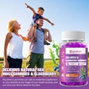 sea-moss-elderberry-gummies-blueberry-fl-6.jpg