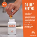 nbi-brain-blend-for-memory-focus-concent-4.jpg
