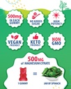 magnesium-gummies-for-kids-500mg-iron-gu-6.jpg