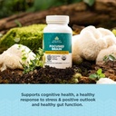 ancient-nutrition-regenerative-organic-c-3.jpg