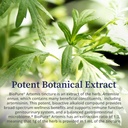 biopure-artemis-herbal-extract-of-artemi-5.jpg