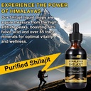 shilajit-pure-himalayan-organic-resin-dr-6.jpg
