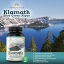 premium-klamath-lake-blue-green-algae----4.jpg