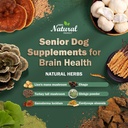 senior-dog-supplements-dog-dementia-supp-2.jpg