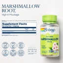 solaray-mullein-leaf-330-mg-and-marshmal-3.jpg