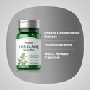 piping-rock-purslane-leaf-supplement-500-4.jpg