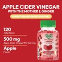 apple-cider-vinegar-jelly-bean-gummies-w-2.jpg