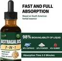 astragalus-root-extract-herbal-drops-for-4.jpg