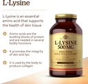 solgar-l-lysine-500-mg-250-vegetable-cap-3.jpg