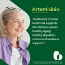 bestvite-artemisinin-200mg-120-vegetaria-2.jpg