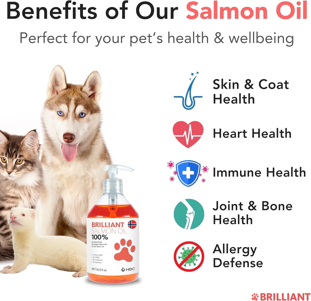salmon-oil-for-dogs---healthy-skin-coat--2.jpg