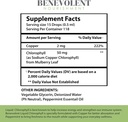 benevolent-chlorophyll-liquid-drops-magn-3.jpg