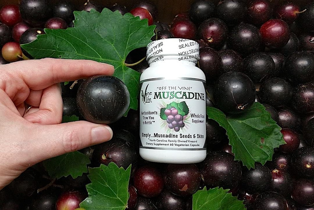 vinelife-muscadine-grape-seed-skin-650mg-6.jpg