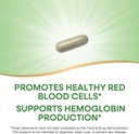 natures-way-iron-promotes-healthy-red-bl-4.jpg