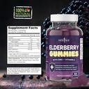 new-age-2-pack-premium-elderberry-gummie-2.jpg
