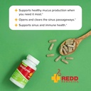 redd-remedies-sinuzyme-supports-sinus-an-4.jpg