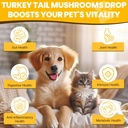 turkey-tail-mushroom-for-dogs---faster-a-2.jpg