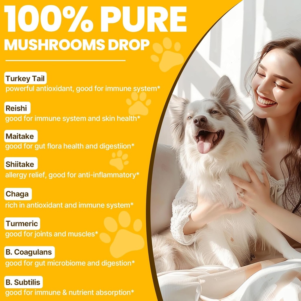 turkey-tail-mushroom-for-dogs---faster-a-3.jpg
