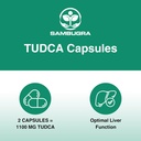 tudca-supplements-1100mg---advanced-ultr-6.jpg