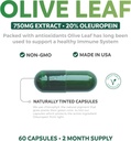 bundle-of-olive-leaf-extract-black-seed--3.jpg